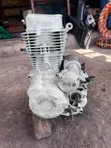 Jungle Motors Engine - Foreign Used 250cc - 3