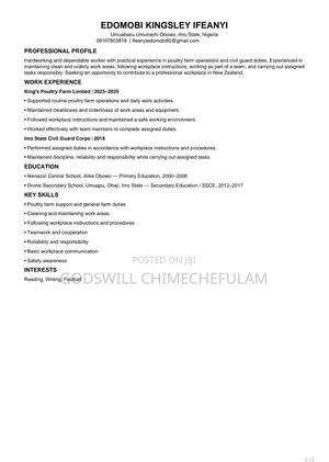 Manufacturing Professional CV
