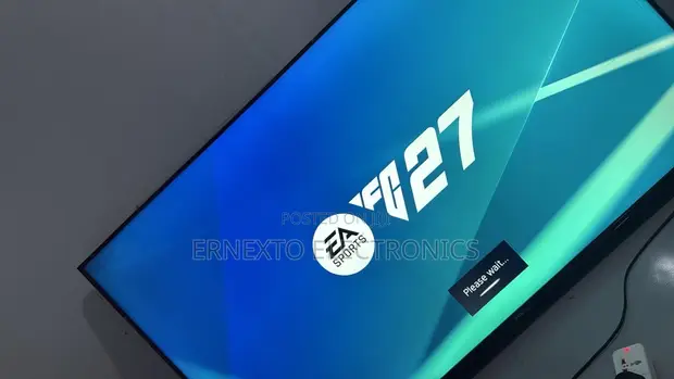 PS4 FC 24 Online/Offline Game Installation - 1