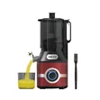 Haley 1.8L Slow Juicer HY607 - 3