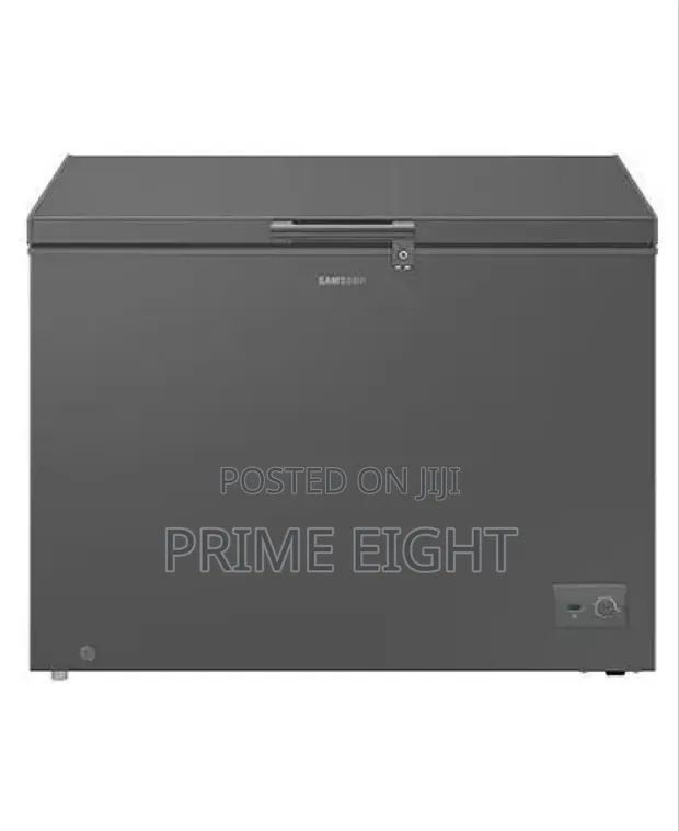 Samsung 287L Chest Freezer (RI70F29V1GAGH) - Dark Gray - 1