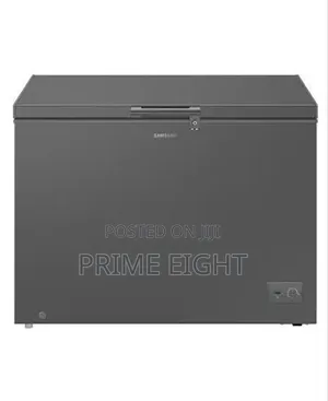Samsung 287L Chest Freezer (RI70F29V1GAGH) - Dark Gray