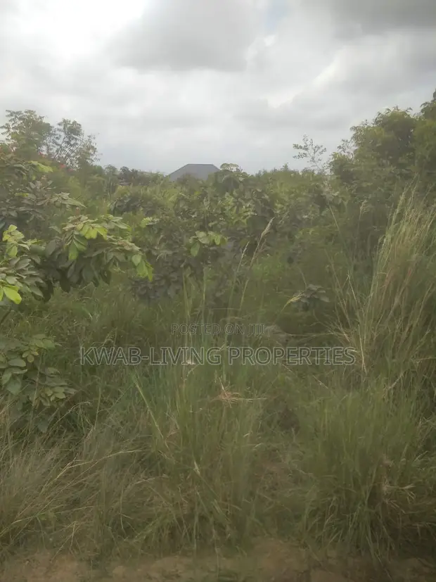 Titled Land for Sale at Amrahia - 1