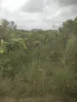 Titled Land for Sale at Amrahia - 1