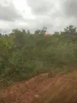 Titled Land for Sale at Amrahia - 2