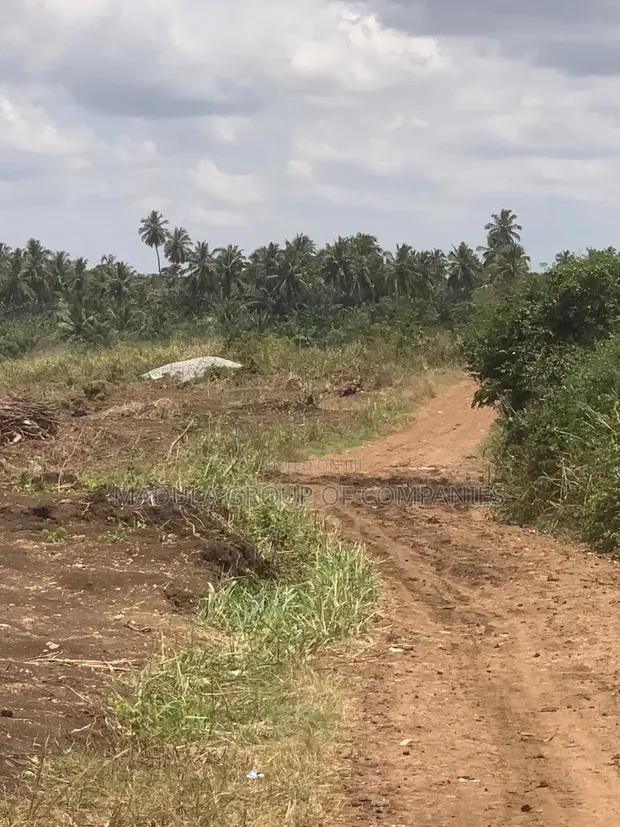 Mixed-use Land for Sale in Dodowa - 1
