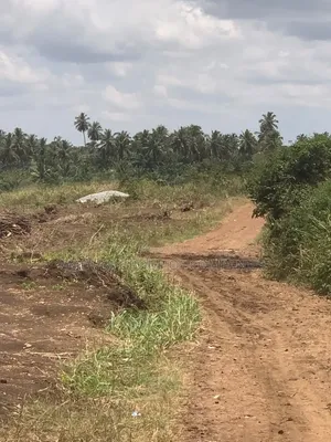 Mixed-use Land for Sale in Dodowa