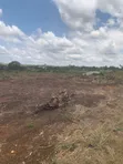 Mixed-use Land for Sale in Dodowa - 2