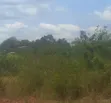 Mining Land for Joint Venture - Ashanti Region - 1