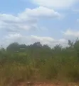 Mining Land for Joint Venture - Ashanti Region - 2