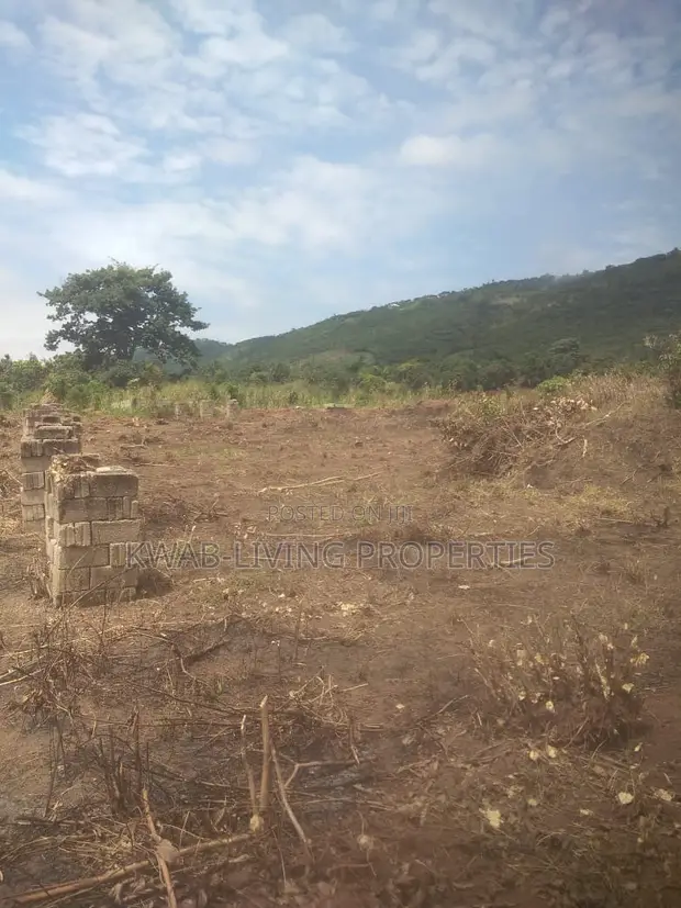 Titled Land for Sale at Dodowa Ayikuma - 1