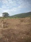Titled Land for Sale at Dodowa Ayikuma - 1