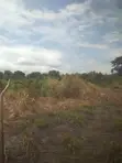 Titled Land for Sale at Dodowa Ayikuma - 2