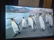 TCL 32" Smart TV - Bezel Less, Voice Control, Netflix - 2
