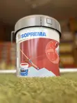 Soprema Campolin Waterproofing Coating - 3