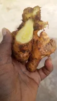 Fresh Ginger Available - 4