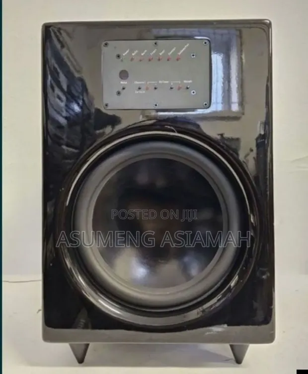 Teufel 10-Inch 5.1 Subwoofer - 1