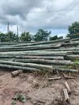 Timber Light Poles for Extension - 2