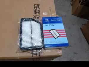 Genuine Hyundai Car Air Filter