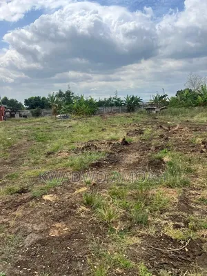 2 Plots of Land at Afienya - Near Main Road