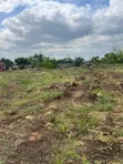2 Plots of Land at Afienya - Near Main Road - 1