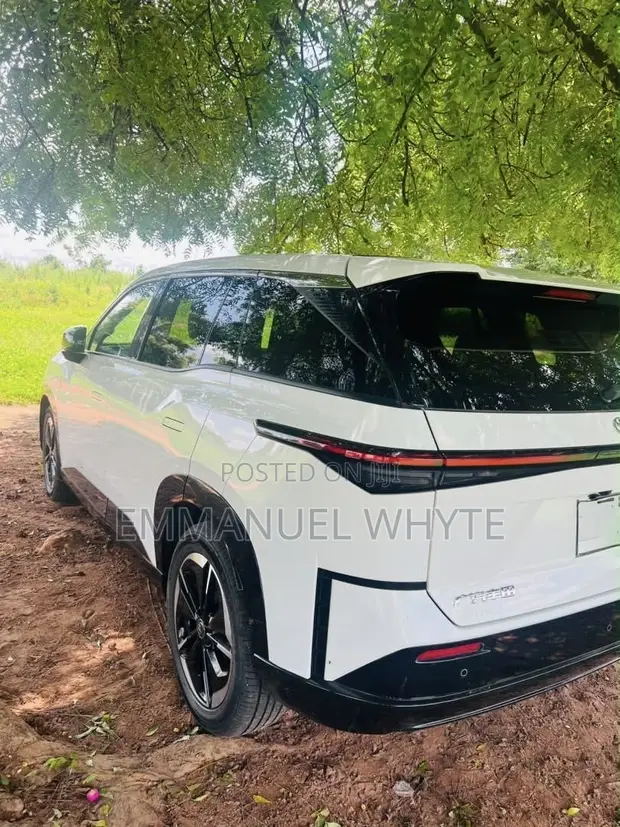 Electric Vehicle Rental - 1