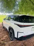 Electric Vehicle Rental - 1
