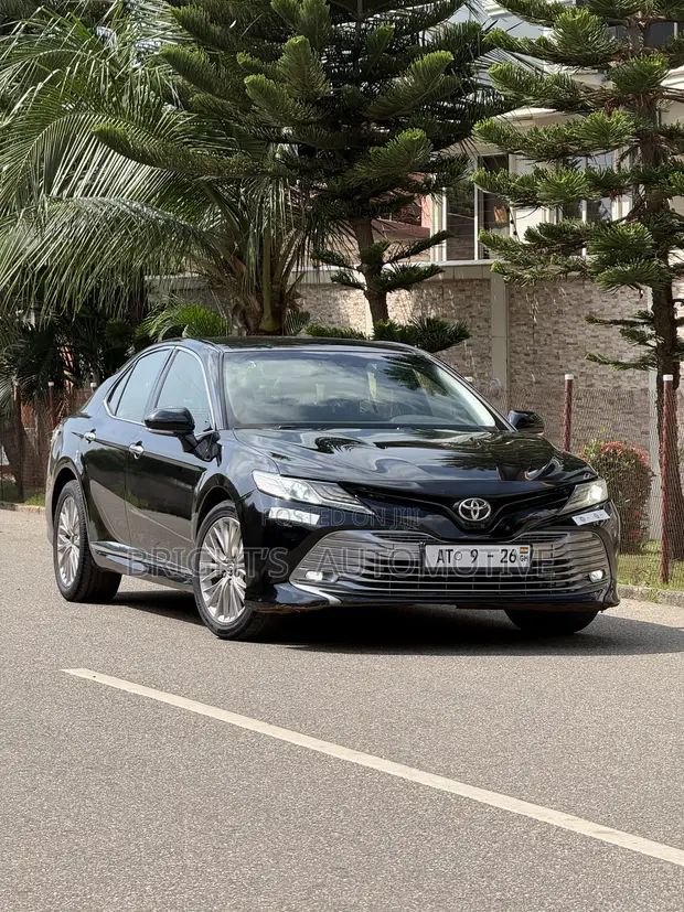 2019 Toyota Camry XLE (2.5L 4cyl 8A) Black - 1