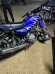 Royal RY150 2025 Motorcycle - 1