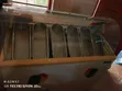 Used Ice Cream Display Freezer - 1
