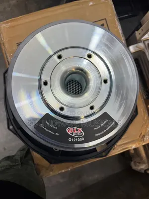 GLS-G12100 12-Inch Double Array Speakers (1000W)