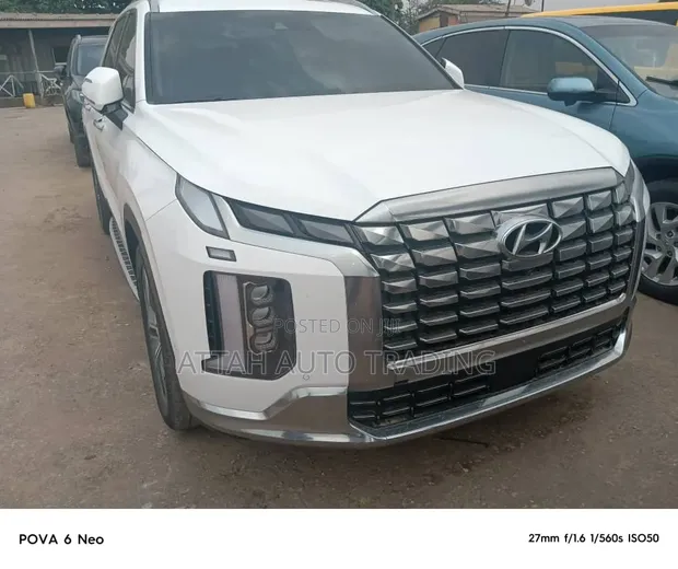 Hyundai Palisade 2019 White - 1