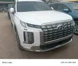 Hyundai Palisade 2019 White - 1