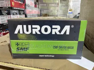 100Ah 19-Plate Aurora Battery