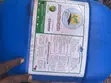 Phosphoric Acid Food Grade Fertilizer (36kg) - 2