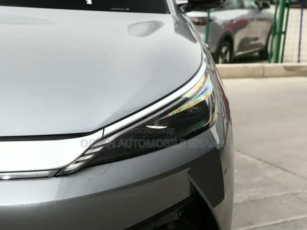 New BYD Yuan Plus 2025 Gray - 1