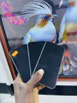 New Apple iPhone 11 128GB Purple - 3