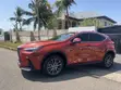 Lexus NX 2023 Orange - 3