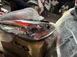 Headlight for Hyundai i10 (2008-2010) - 2