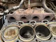 Hyundai Elantra Specialist - K Wills Auto Engineering - 1
