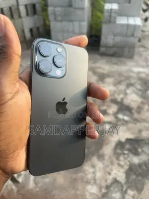 Apple iPhone 15 Pro Max 256GB Black (USA Used)