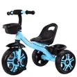 Baby King Kids Tricycle - 1