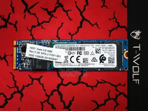 128GB M.2 NVMe SSD (WD)