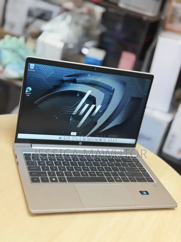 HP ProBook 445 G9 Laptop: 8GB RAM, 256GB SSD, Ryzen 5 - 1