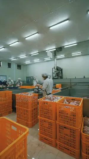 Factory Workers Needed in Turkey