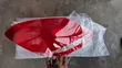 Mercedes-Benz C300 2016-2019 Tail Light Cover/Lens - 1