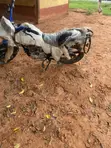 New Apsonic AP125-30 Cruiser Motorcycle (2019) - 1