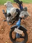 New Apsonic AP125-30 Cruiser Motorcycle (2019) - 4