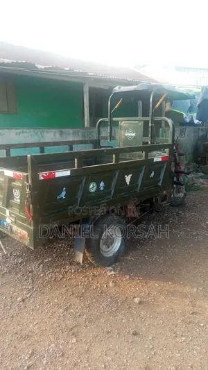 Apsonic AP150ZH-20 Tricycle - Green