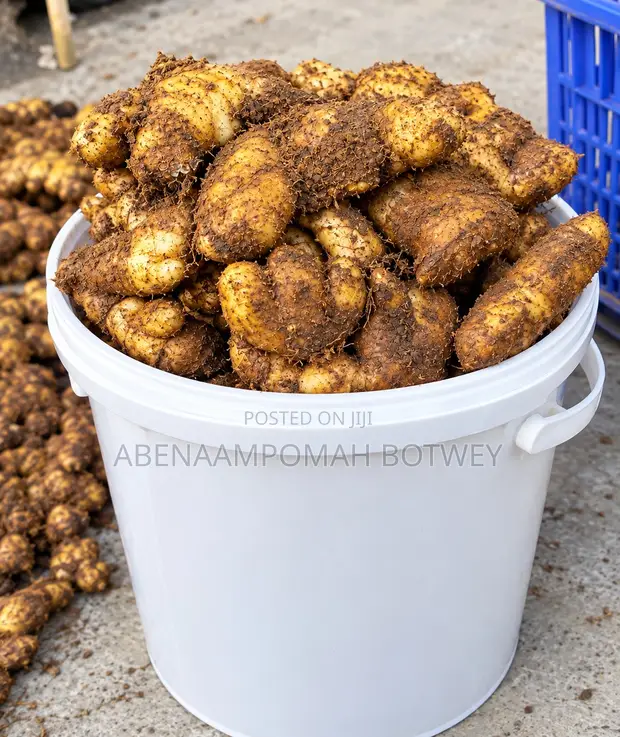Fresh Ginger Available - 1